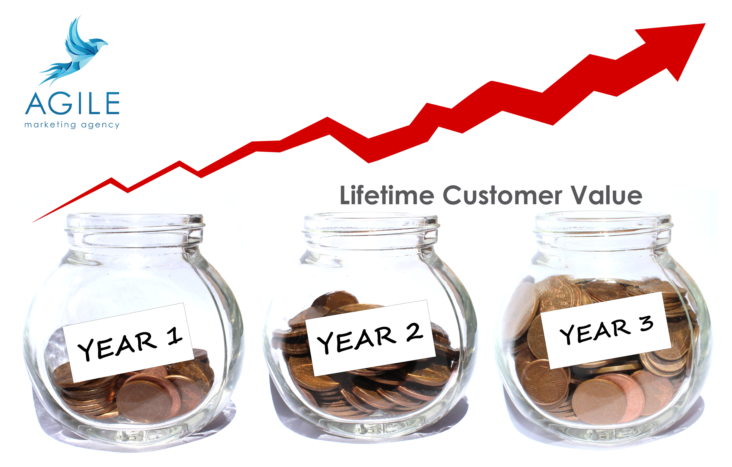 customer lifetime value geld grafiek