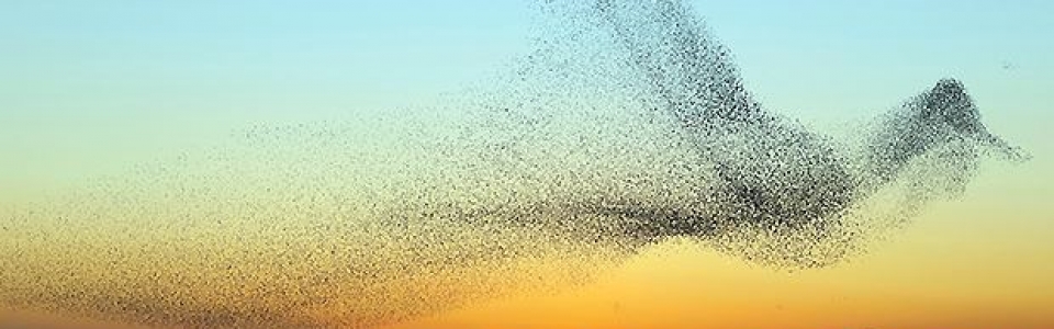 Waarom agile marketing? Vijf voordelen Waarom agile marketing? Vijf voordelen